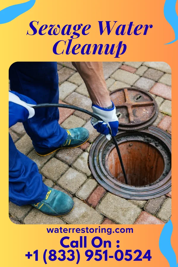 Sewage Water Cleanup in Lewiston Woodville, NC